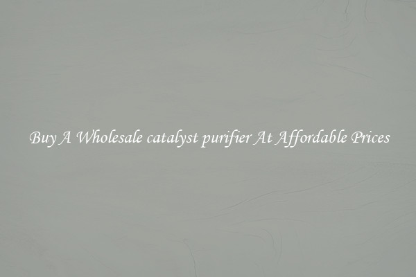 Buy A Wholesale catalyst purifier At Affordable Prices