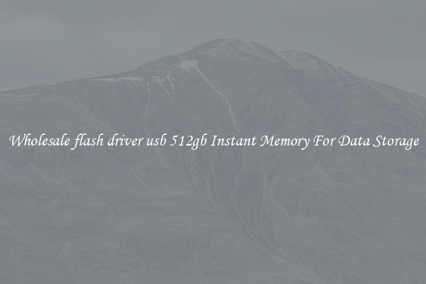 Wholesale flash driver usb 512gb Instant Memory For Data Storage