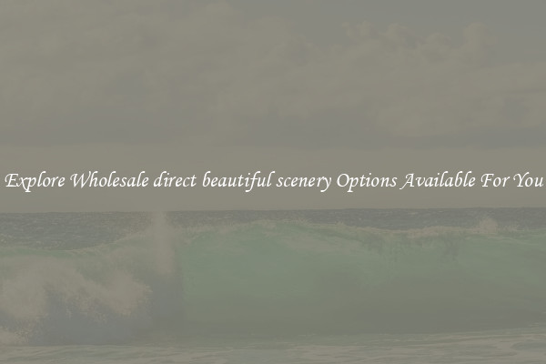Explore Wholesale direct beautiful scenery Options Available For You