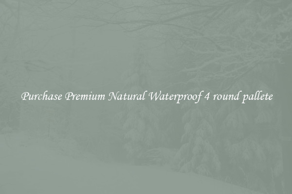 Purchase Premium Natural Waterproof 4 round pallete