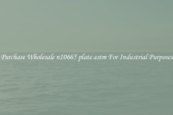 Purchase Wholesale n10665 plate astm For Industrial Purposes
