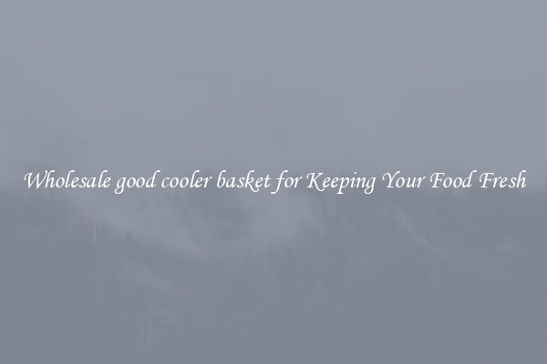 Wholesale good cooler basket for Keeping Your Food Fresh