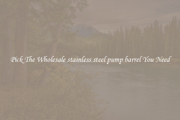 Pick The Wholesale stainless steel pump barrel You Need