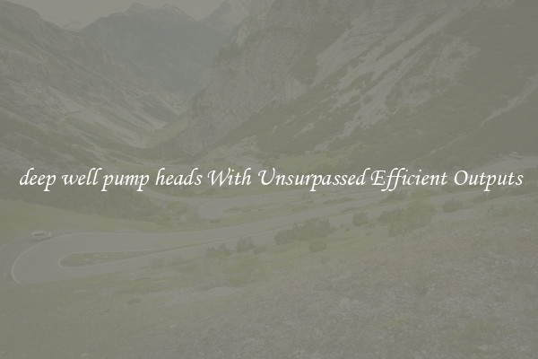 deep well pump heads With Unsurpassed Efficient Outputs
