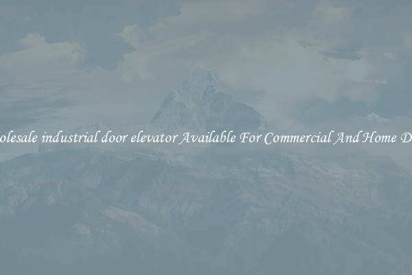 Wholesale industrial door elevator Available For Commercial And Home Doors