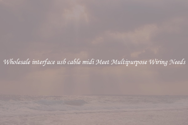 Wholesale interface usb cable midi Meet Multipurpose Wiring Needs
