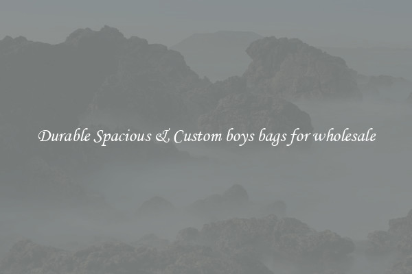 Durable Spacious & Custom boys bags for wholesale