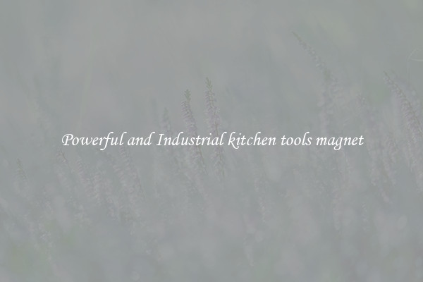 Powerful and Industrial kitchen tools magnet