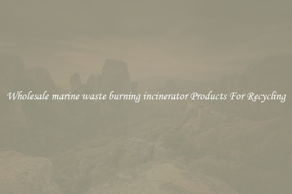 Wholesale marine waste burning incinerator Products For Recycling