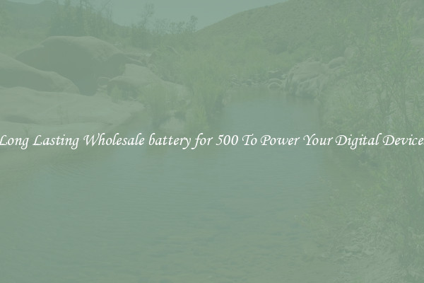 Long Lasting Wholesale battery for 500 To Power Your Digital Devices