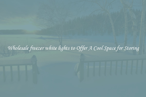 Wholesale freezer white lights to Offer A Cool Space for Storing