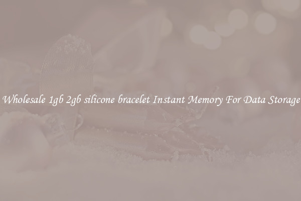 Wholesale 1gb 2gb silicone bracelet Instant Memory For Data Storage