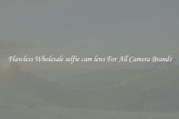 Flawless Wholesale selfie cam lens For All Camera Brands
