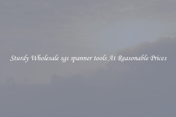 Sturdy Wholesale sgs spanner tools At Reasonable Prices