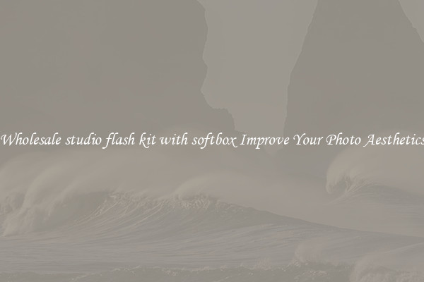 Wholesale studio flash kit with softbox Improve Your Photo Aesthetics