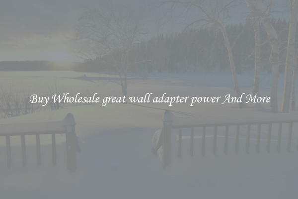 Buy Wholesale great wall adapter power And More