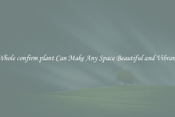 Whole confirm plant Can Make Any Space Beautiful and Vibrant