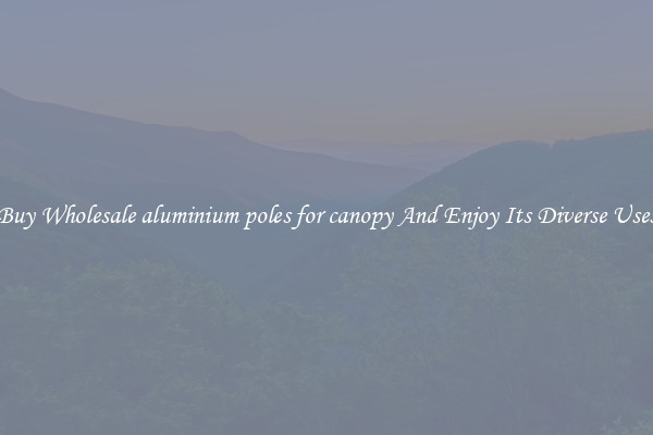 Buy Wholesale aluminium poles for canopy And Enjoy Its Diverse Uses